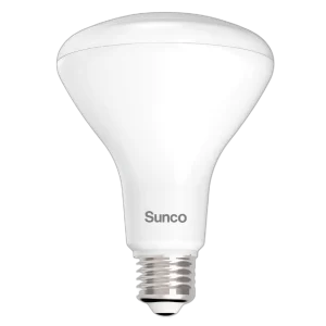 BR30 LED Bulb 850 Lumens